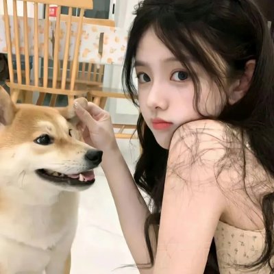羊与钢之森